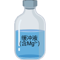 缓冲液