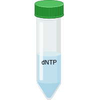 dNTP