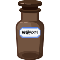 核酸染料