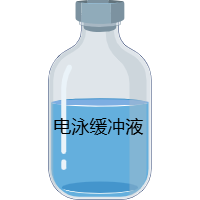 电泳缓冲液