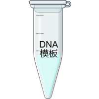 模板