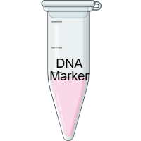 Marker